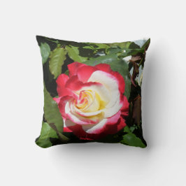 赤の枕は豪華なバルボア島を上がりましたひっくり返しました クッション