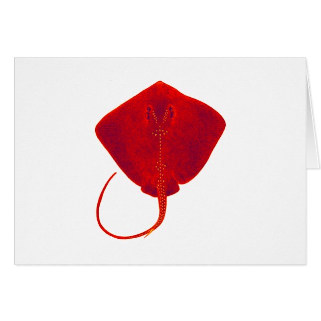 赤の色合い (正面横)