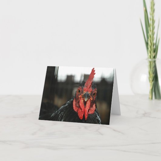 赤の鶏 サンキューカード (正面)