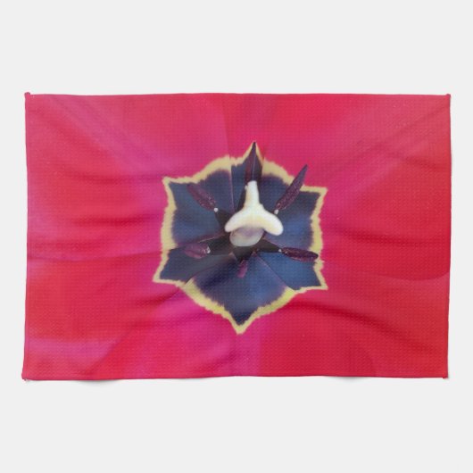 赤はっきりしたチューリップ花マクロ自然写真 キッチンタオル (横)