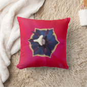 赤はっきりしたチューリップ花マクロ自然写真 クッション (ブランケット)