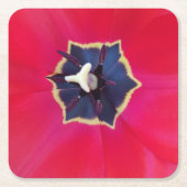 赤はっきりしたチューリップ花マクロ自然写真 スクエアペーパーコースター (正面)