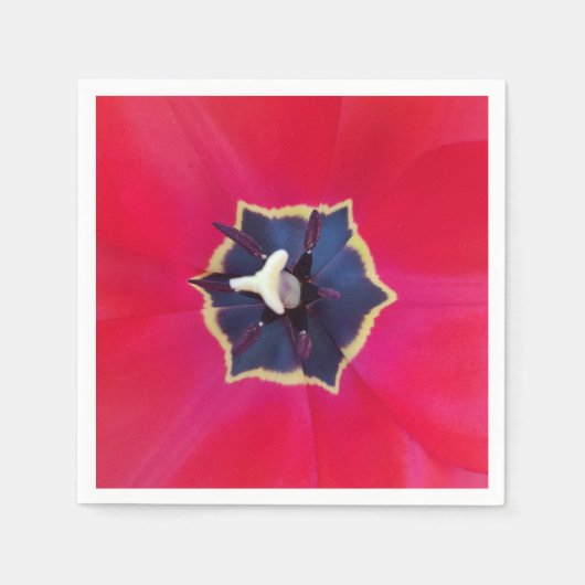 赤はっきりしたチューリップ花マクロ自然写真 スタンダードカクテルナプキン (正面)