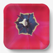 赤はっきりしたチューリップ花マクロ自然写真 ペーパープレート (正面)