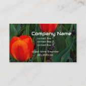 赤はっきりしたチューリップ花撮影自然 名刺 (裏面)