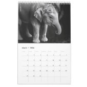 赤はっきりしたフローラ カレンダー (3月 2026)