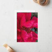 赤はっきりした牡丹 ノートカード (正面/裏面インサイチュ)