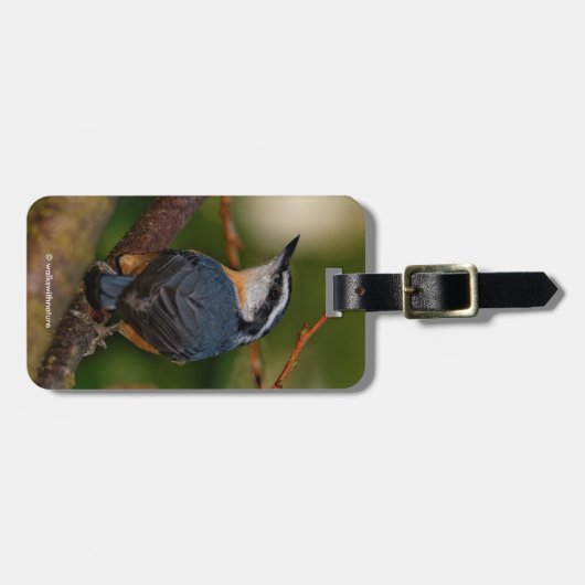 赤はっきりした胸の裸戸 ラゲッジタグ (正面横)