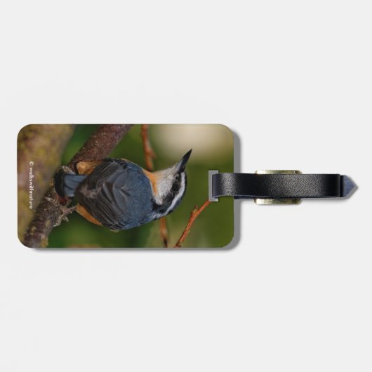 赤はっきりした胸の裸戸 ラゲッジタグ (裏面横)