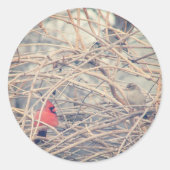 赤はアンゲランスポットの荒涼とした冬の中。 ラウンドシール (正面)