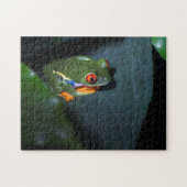 赤はカエルのモデルを注目します ジグソーパズル (横)