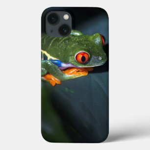 赤はカエルのモデルを注目します iPhone 13ケース