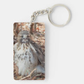 赤は倍増したタカの後につきました キーホルダー (裏面)