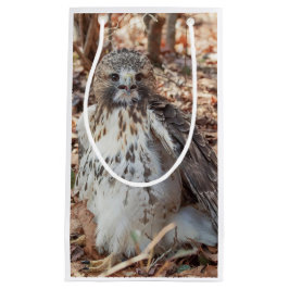 赤は倍増したタカの後につきました スモールペーパーバッグ