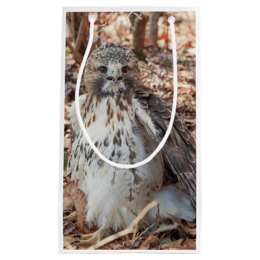 赤は倍増したタカの後につきました スモールペーパーバッグ (正面)