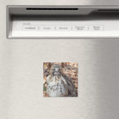 赤は倍増したタカの後につきました マグネット (インサイチュ (食洗機))