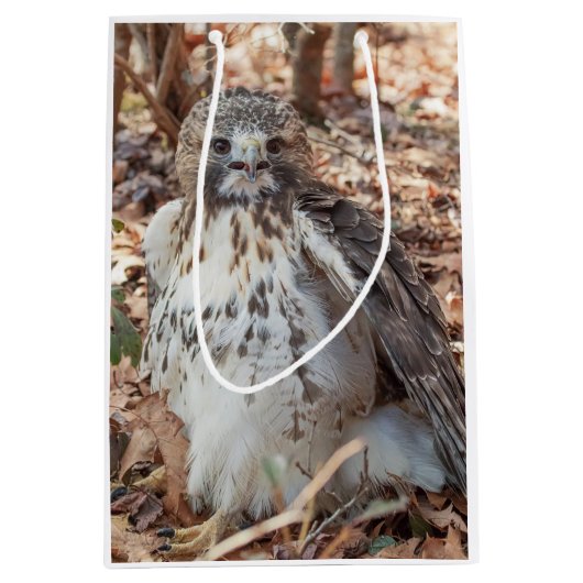 赤は倍増したタカの後につきました ミディアムペーパーバッグ (正面)