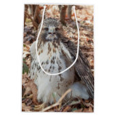 赤は倍増したタカの後につきました ミディアムペーパーバッグ (裏面)