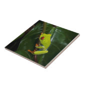 赤は茎のカエルを注目します タイル (側面)