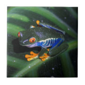 赤は葉のカエルを注目します タイル (正面)