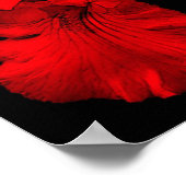 赤ひげ菖蒲の花 ポスター (角)