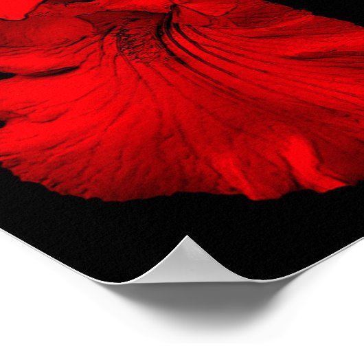 赤ひげ菖蒲の花 ポスター (角)