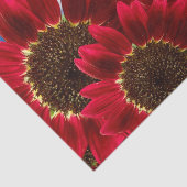 赤ひまわりの花と青い空 – ティッシュペーパー 薄葉紙 (詳細)