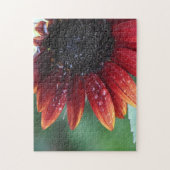 赤ひまわりの花びらと雨粒 ジグソーパズル (縦)