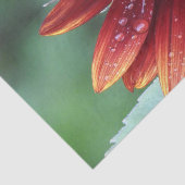 赤ひまわりの花びらと雨粒 薄葉紙 (詳細)