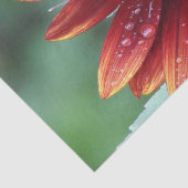 赤ひまわり緑の背景 薄葉紙 (詳細)