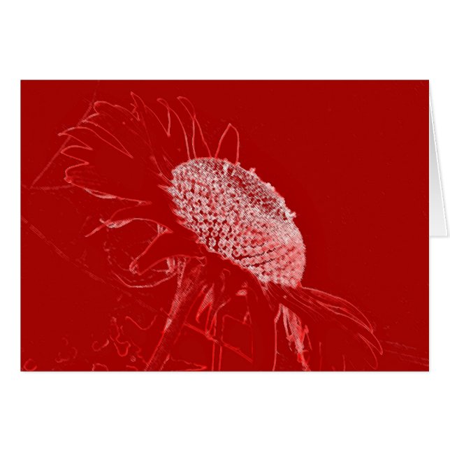 赤ひまわり (正面横)