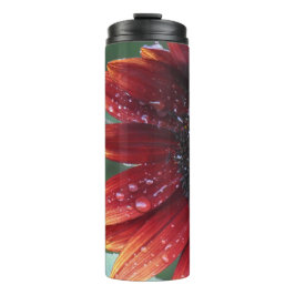 赤ひまわり タンブラー