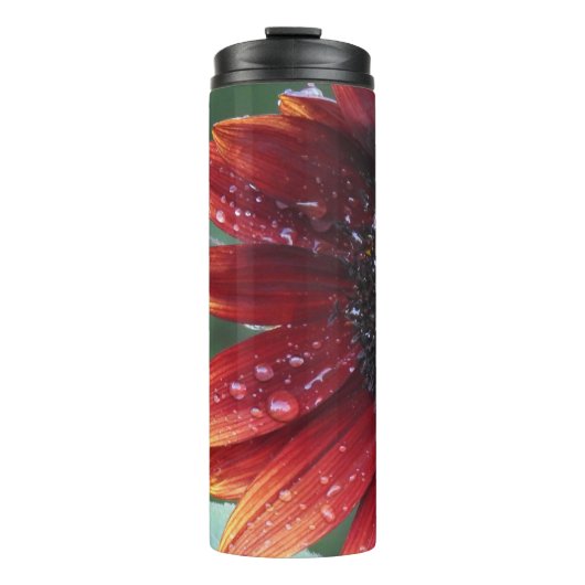 赤ひまわり タンブラー (正面)