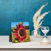 赤ひまわり フォトプラーク (インサイチュ)