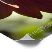 赤ひまわり ポスター (角)