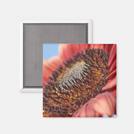 赤ひまわり マグネット (正面/裏面)