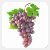 赤ぶどう スクエアシール (正面)