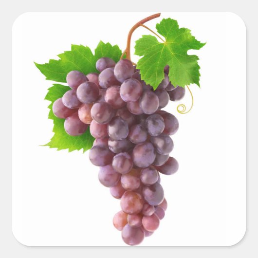 赤ぶどう スクエアシール (正面)