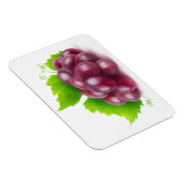 赤ぶどう マグネット (右側)