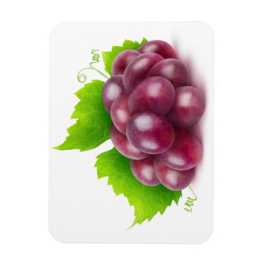 赤ぶどう マグネット (縦)
