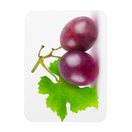 赤ぶどう マグネット (縦)