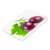 赤ぶどう マグネット (左側)