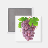 赤ぶどう マグネット (正面/裏面)