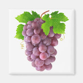 赤ぶどう マグネット (正面)