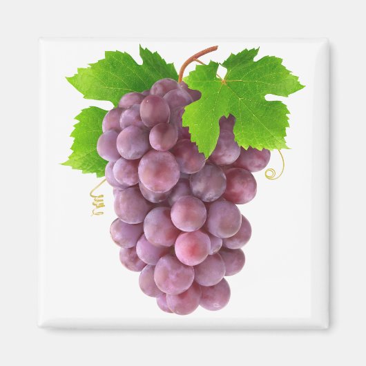 赤ぶどう マグネット (正面)