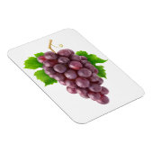 赤ぶどう マグネット (右側)