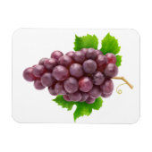 赤ぶどう マグネット (横)