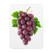 赤ぶどう マグネット (縦)