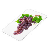 赤ぶどう マグネット (左側)