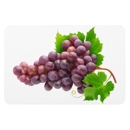 赤ぶどう マグネット (横)